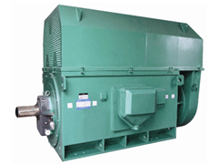 南海Y系列6KV高压电机